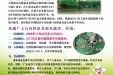 五邑中医院恩平分院开展免费救治贫困白内障患者活动