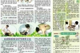 2012年9-10月院报70-B
