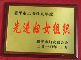 2009年恩平市先进妇女组织