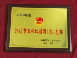 2009年江门市五四红旗团（总）支部
