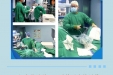 《图说健康》14——输尿管软镜碎石术