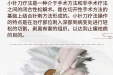 《图说健康》17——小针刀